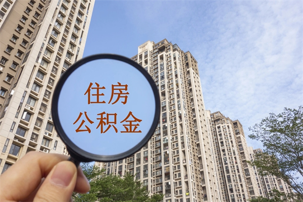 铜川深圳公积金（深圳公积金首页）